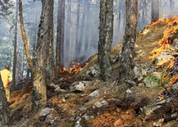 Orman yangınları kalp krizini tetikliyor