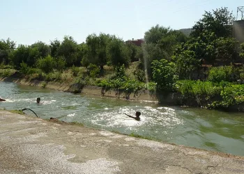 Yüzmesi yasak olan kanalda serinlediler