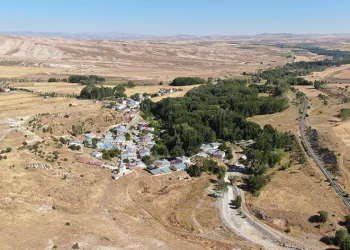 Bozkırın ortasında vaha