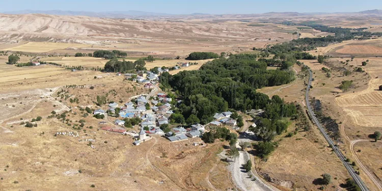 Bozkırın ortasında vaha