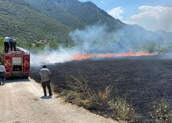 Aynı anda iki farklı yerde arazi yangını