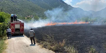 Aynı anda iki farklı yerde arazi yangını