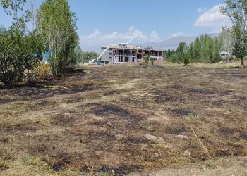 Varto’da anız yangını