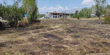 Varto’da anız yangını