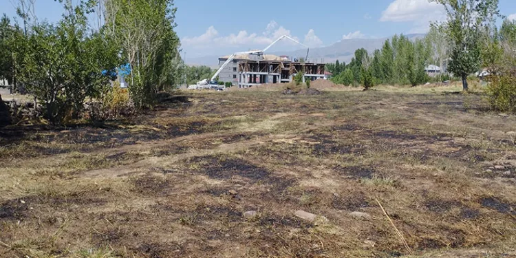 Varto’da anız yangını