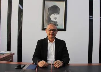 Ayçiçeğini sıcak vurdu