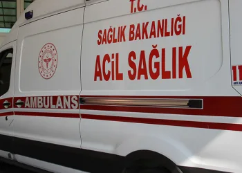 Evinin arkasındaki bahçede ölü bulundu