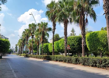 Adana terk edilmiş şehre döndü