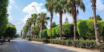 Adana terk edilmiş şehre döndü