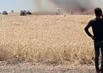 Muş’ta 300 dönüm ekili alan yandı
