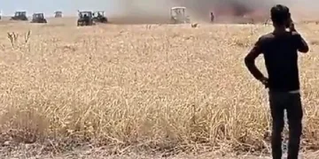 Muş’ta 300 dönüm ekili alan yandı
