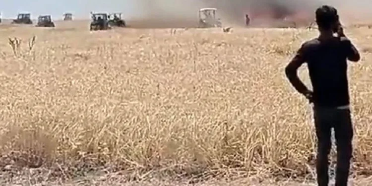 Muş’ta 300 dönüm ekili alan yandı
