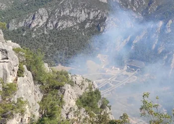 Bilecik’te orman yangını