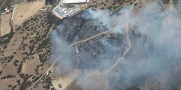 Menemen’de orman yangını