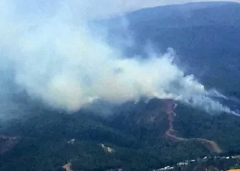 Hatay’da orman yangını