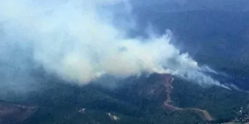 Hatay’da orman yangını