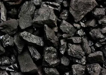 İhtiyaç sahiplerine kömür desteği