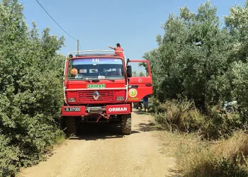 Bursa’da dört noktada aynı anda yangın