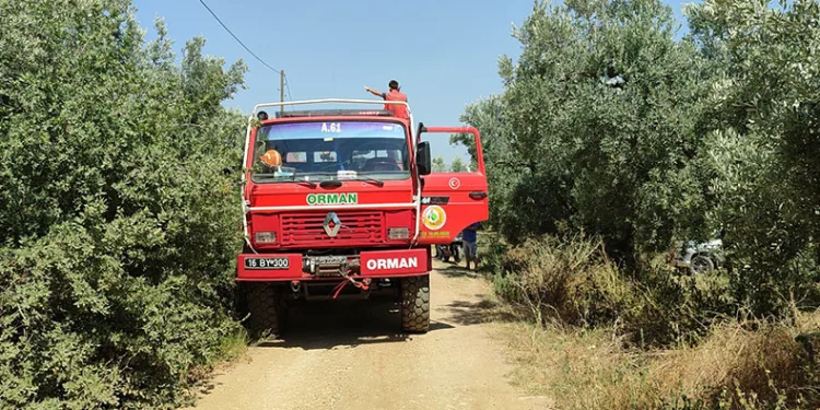 Bursa’da dört noktada aynı anda yangın