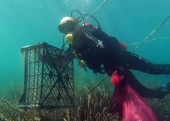 Gümüşlük’te deniz dibi temizliği yapıldı
