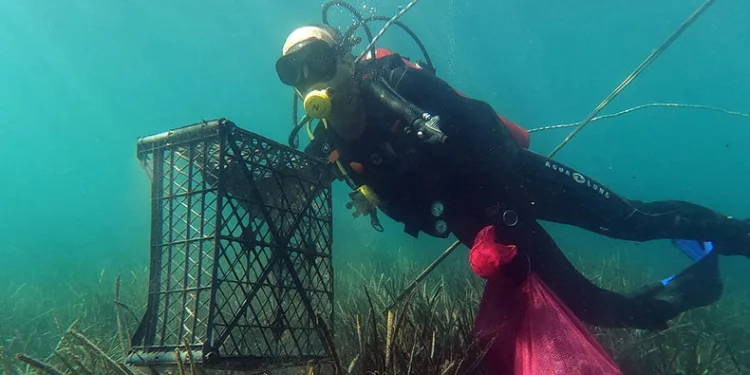 Gümüşlük’te deniz dibi temizliği yapıldı