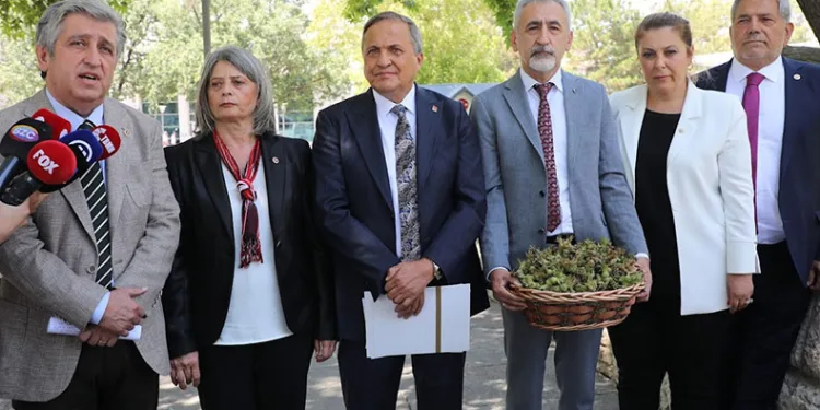 Açıklanan fındık fiyatlarına tepki