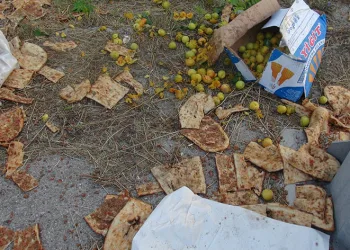 Cenaze dönüşü feci kaza
