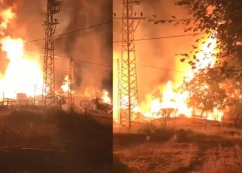 Çıkan yangında 7 ev alevlere teslim oldu
