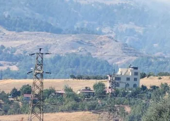 Kahramanmaraş’ta orman yangını