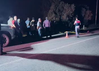 Otomobilin çarptığı yaya hayatını kaybetti