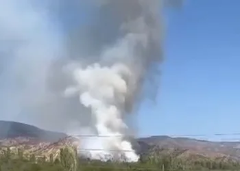 Çankırı’da orman yangını