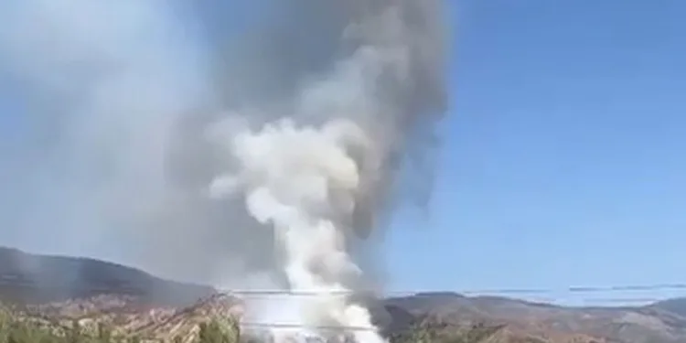 Çankırı’da orman yangını