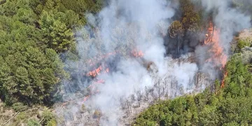 Muğla’da orman yangını