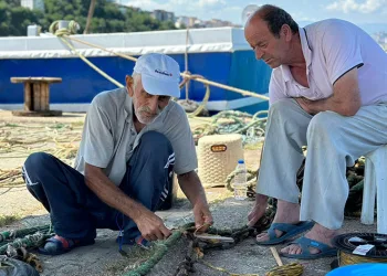 Denizde mezgit ve hamsi var