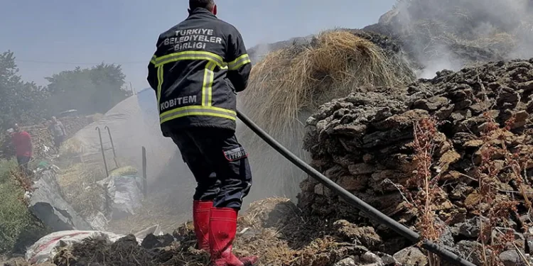 Kars’ta 700 balya ot yandı