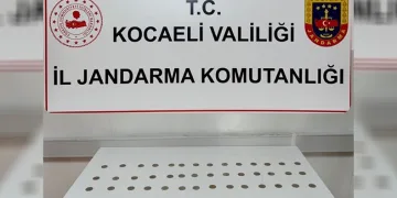 Gebze’de 56 adet sikke ele geçirildi