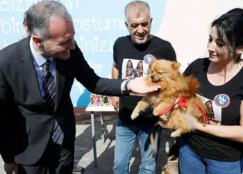 Ayda 400 kişi ziyaret ediyor