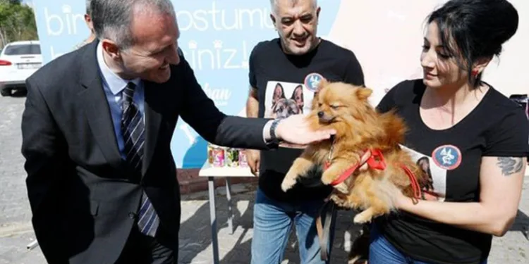 Ayda 400 kişi ziyaret ediyor