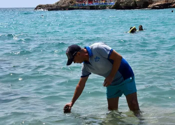 Deniz suyu kirliliği sürekli kontrol ediliyor