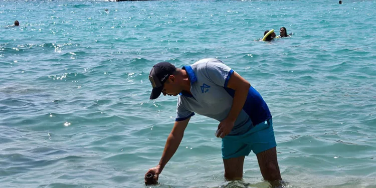 Deniz suyu kirliliği sürekli kontrol ediliyor