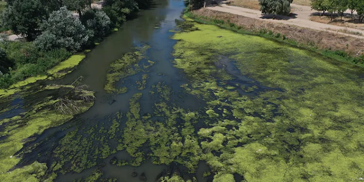 Tunca Nehri’nde çöpler ortaya çıktı