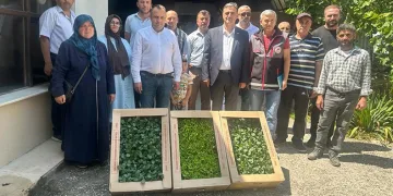 Çiftçilere 80 bin fide dağıtıldı