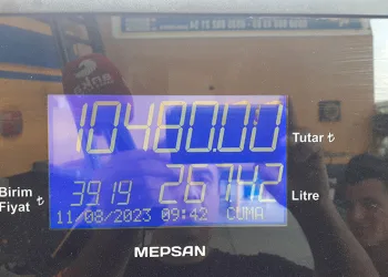 “Terk edip gideceğiz bu memleketi”