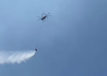İzmir’de makilik alanda yangın