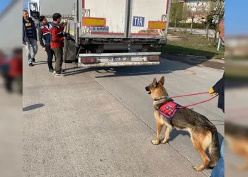 39 göçmen kaçakçısı organizatör yakalandı