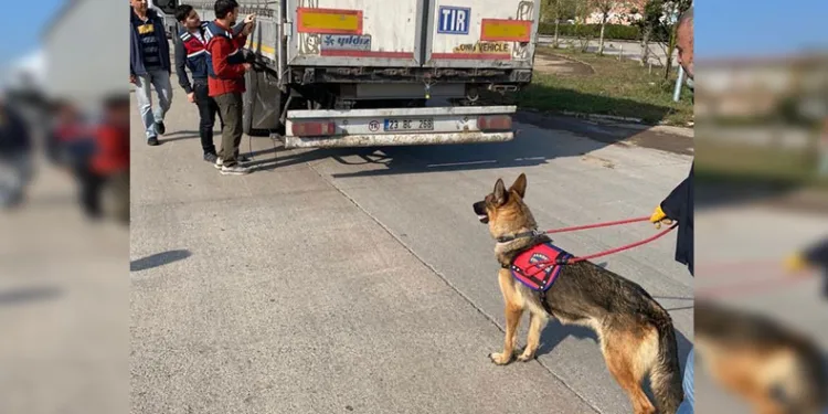 39 göçmen kaçakçısı organizatör yakalandı