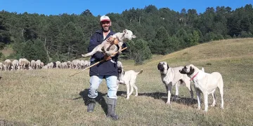 Çobanlık için Bolu’ya geldi