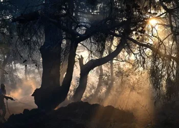Çanakkale’deki orman yangını havadan görüntülendi