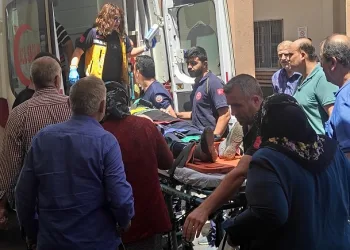 Bahçesindeki otları yakmak isterken kendini yaktı