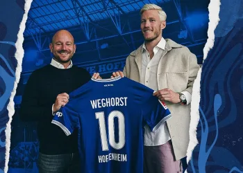 Wout Weghorst, Hoffenheim’da